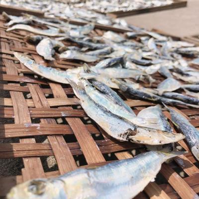 澎湖美食