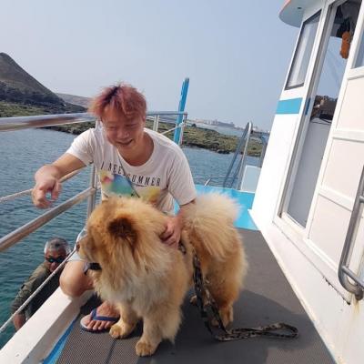 澎湖旅遊