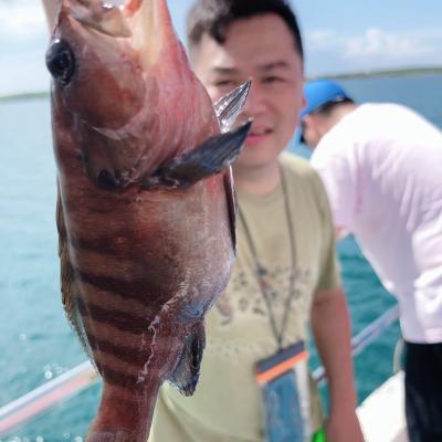 澎湖旅遊