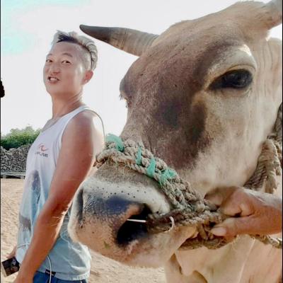 澎湖旅遊