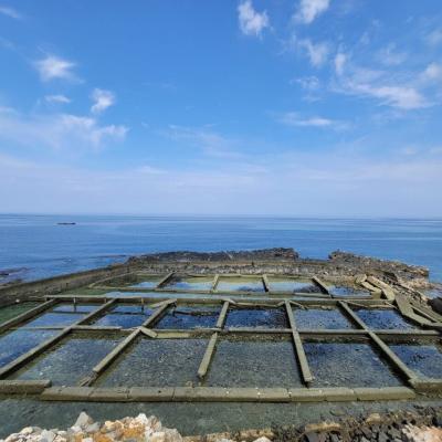 澎湖旅遊