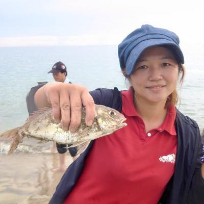 澎湖旅遊