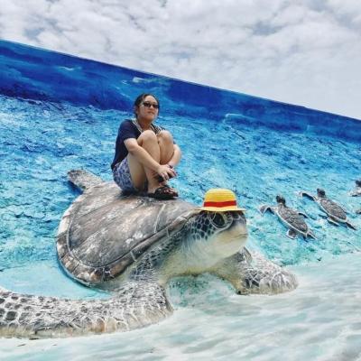 澎湖旅遊