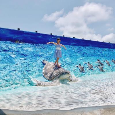 澎湖旅遊