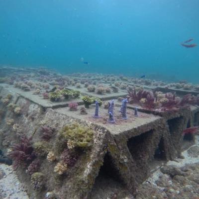 澎湖民宿旅遊